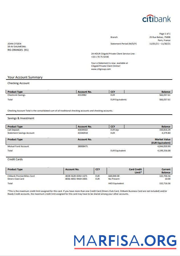 Blank France Citibank bank statement word real example
